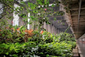 phoca_thumb_l_20220103_icc_betomonteiro-1-min